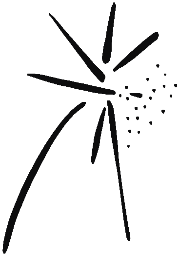 Image of the occurrence